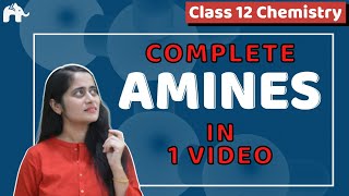 Amines Class 12 Chemistry One Shot NCERT Chapter 13  CBSE NEET JEE [upl. by Saw]