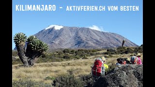 Kaufmann Trekking Kilimanjaro Song Febr 2024 [upl. by Eelrehpotsirhc]