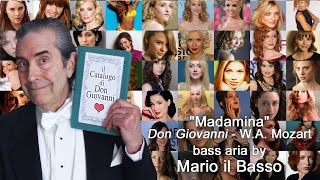 Madamina bass aria “Don Giovanni” Mozart singer Mario il Basso operaithaca [upl. by Suhpoelc]