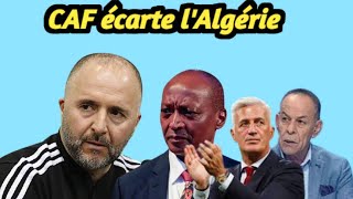 Djamel Belmadi à distance  Un énorme problème émerge pour lAlgérie [upl. by Amelia]