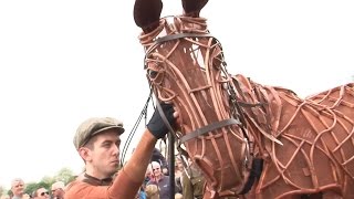 WAR HORSE London  Joey im Londoner Hyde Park [upl. by Fontes906]