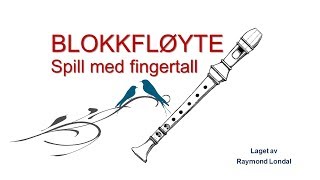 Blokkfløyteskole  Nybegynner 1 [upl. by Yellat285]