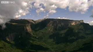 Wild Madagascar with David Attenborough  Madagascar Island of Marvels Preview  BBC Two [upl. by Nnylirak]