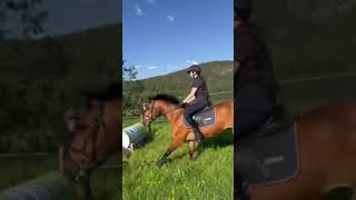 Rival stars XC be like goviral eq feed viral equestrian horse edit crosscountryjumping [upl. by Aiasi917]