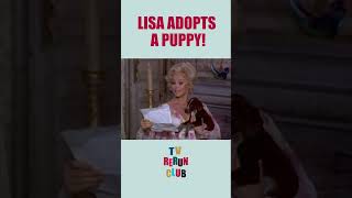 A puppy left on the doorstep 🐶 TVRerunClub GreenAcres Sitcom [upl. by Fitton188]