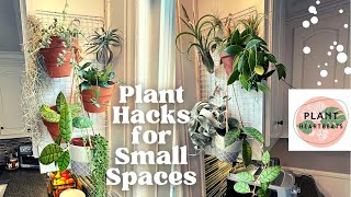 House Plant HACKS  Styling and Decor for Small Spaces Plant Tour with names [upl. by Ainocal]