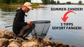 Erfolgreich auf Zander im Hochsommer  3 Tipps die man sofort anwenden kann  Zanderangeln am Fluss [upl. by Siberson]