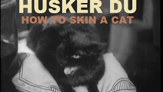 quotHow To Skin A Catquot by HUSKER DU [upl. by Barnaby458]