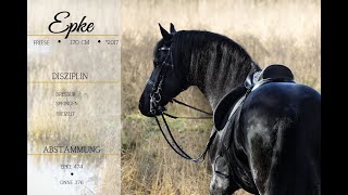 SOLD Epke Pferdehandlung Dederichs [upl. by Gustaf]