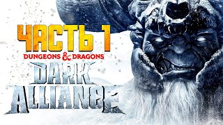 Dungeons amp Dragons Dark Alliance ● ОБЗОР ● ПОЛНОЕ ПРОХОЖДЕНИЕ [upl. by Mossman985]