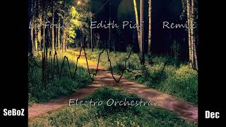 Edith Piaf La Foule Remix Electro orchestral Seboz Dec Destiny [upl. by Yellehs]