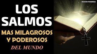 Los Salmos más Poderosos y Milagrosos del Mundo  RECOPILACION  Parte I [upl. by Iila]