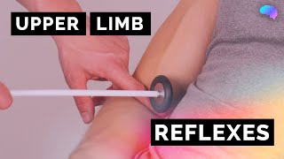 Reflexes of the Upper Limbs  OSCE Clip  UKMLA  CPSA [upl. by Sigismond745]