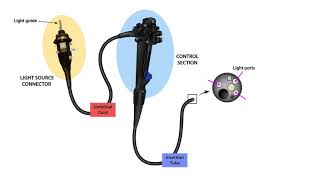 Endoscope Technology TheoryLesson 3Endoscope Parts [upl. by Aserahs]