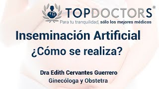 Inseminación Artificial – ¿Cómo se realiza ¿Qué técnicas usan [upl. by Analise]