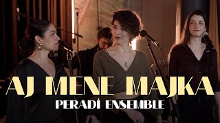 Peradi Ensemble  Aj Mene Majka Dünyadan Sesler Live Session [upl. by Gavan]