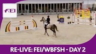 ReLive  FEIWBFSH  World Breeding Jumping Chps f Young Horses  6yearold horses [upl. by Iniretake]