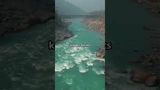 White Water Rafting Ride the Rapids in These Top Spots 🌊🚣‍♂️ shorts video travel rafting [upl. by Norris]