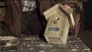 Making a Birdbox  Sustainable Somersetmov [upl. by Emory]