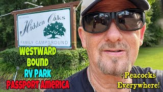 Hidden Oaks Family Campground a Passport America Park Hammond LA Ep 228 Westward Bound Solo RVing [upl. by Jaan]