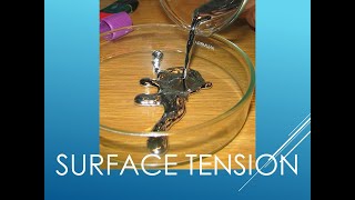 General Chemistry I 2024 55 surface tension [upl. by Alten]