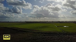 4k Video  Nature of the Dutch polders [upl. by Magan]