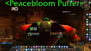 World of Warcraft SoD P4  Shaman Solo BRD Arena Sub 8 Mins [upl. by Einwahr106]