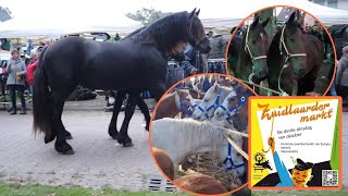 de BEROEMDE paardenmarkt ZUIDLAREN 171023 vlog138 [upl. by Grewitz]