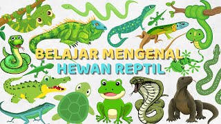 BELAJAR MENGENAL NAMANAMA HEWAN REPTIL BAHASA INDONESIA DAN BAHASA INGGRIS  LEARN REPTILE ANIMALS [upl. by Ulysses591]