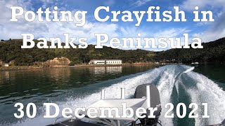 Potting Crayfish in Banks Peninsula 30 December 2021 [upl. by Nemra]