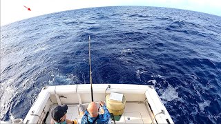 600 LB Marlin Deep Sea Fishing in Hawaii [upl. by Frendel]