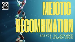 Meiotic Recombination  Homologous Recombination in Eukaryotes  Fundamental Processes  B2A [upl. by Aneetsirk69]