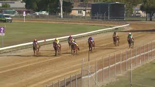 Bundaberg 20240831 Race 5 [upl. by Bordiuk]