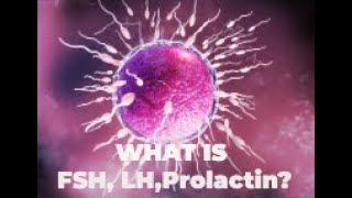 FSH LH Prolactin Test in Pune  Pathofast [upl. by Cyma]