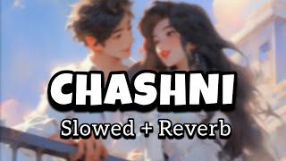 Chashni Lofi  Vishal amp Shekhar ft Slowed Reverb Song hitsongs slowedandreverb [upl. by Isnan]