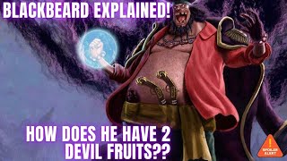 The Reason Blackbeard Has 2 Devil Fruits  Blackbeard Explained ONE PIECE THEORY [upl. by Zosema]