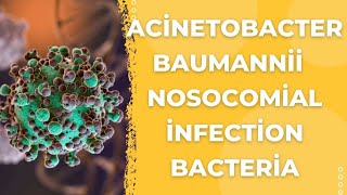 Acinetobacter Baumannii The Stealthy Superbug Menace  Healthgo [upl. by Gaspard]