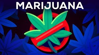 3 Arguments Why Marijuana Should Stay Illegal Reviewed [upl. by Loram]