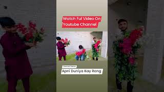 Romantic Moments  Apni Duniya Kay Rang  birds funny birdslover flowers [upl. by Teyugn]