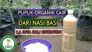 Membuat Pupuk Organik Cair Dari Nasi Basi Making Liquid Organic Fertilizer from Stale Rice [upl. by Esorylime402]