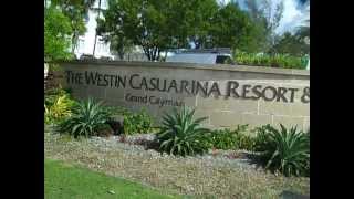 The Westin Casuarina Resort amp Spa on Grand Cayman [upl. by Epner]