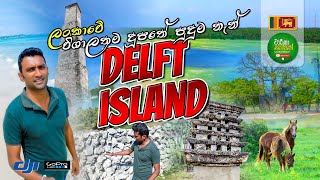 Delft Island  උතුරු කරයේ ලොකුම දූපතේ පුදුම තැන්  Jaffna  Sri Lanka  நெடுந்தீவு Travel Vlog 118 [upl. by Fillander]