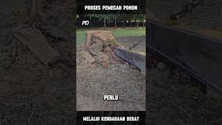 Memotong Pohon yang Masih Tertanam portaldunia [upl. by Antonio]