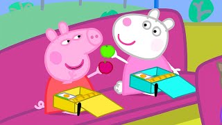 Le Voyage Scolaire  Peppa Pig Français Episodes Complets [upl. by Medeah]