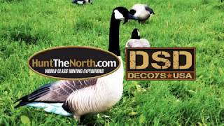 David Smith Decoys Review  HuntTheNorth [upl. by Danyelle127]