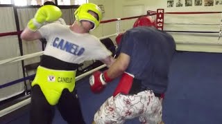 CANELO ALVAREZ HARDEST SPARRING COMPILATION HD [upl. by Kaliski]