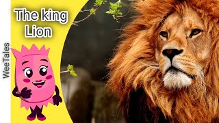 Roaring Fun Facts About Lions Kids Animal Corner [upl. by Ihsoyim]