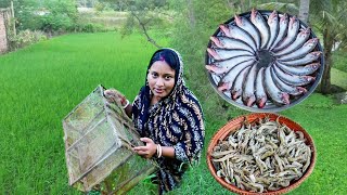 মাঠ থেকে চিংড়িমাছ ধরে কচুর লতি দিয়ে রান্না করলাম সাথে সরষে পাবদা রেসিপি  fish curry recipe [upl. by Stargell969]