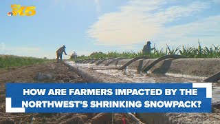 Shrinking snowpack and its impact on Pacific Northwest irrigation farmers [upl. by Tessa]