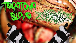 Teratoma slaveHicude Blastoma split♫⃠ [upl. by Titus865]